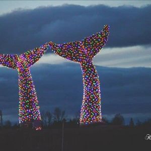 Meet your Posher, Judy